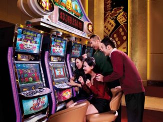 Mastering the Basics A Guide on How to Play Slots